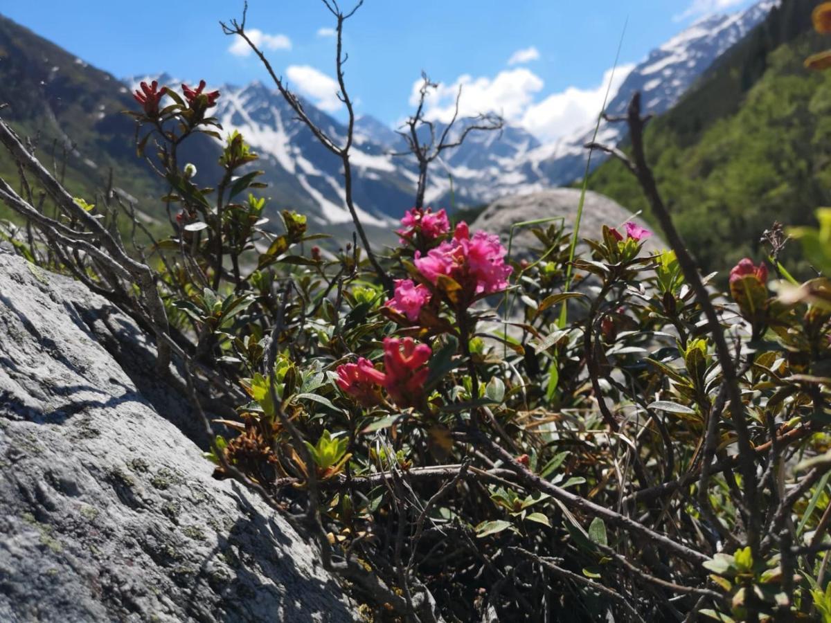 Piz-Hotel Sankt Leonhard im Pitztal Dış mekan fotoğraf