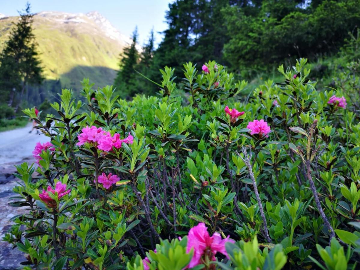 Piz-Hotel Sankt Leonhard im Pitztal Dış mekan fotoğraf